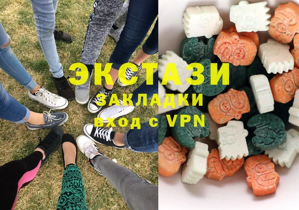 шишки Гусиноозёрск