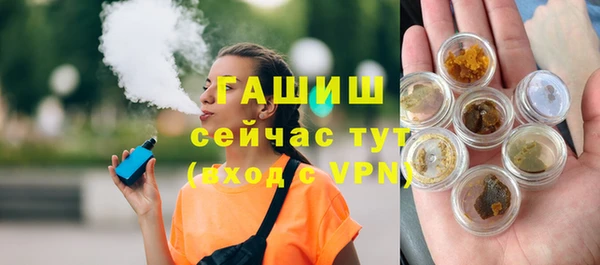 шишки Гусиноозёрск