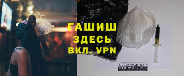 шишки Гусиноозёрск