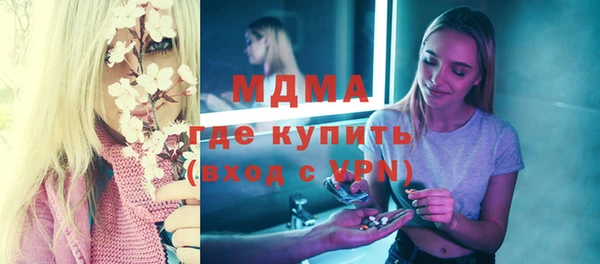 шишки Гусиноозёрск