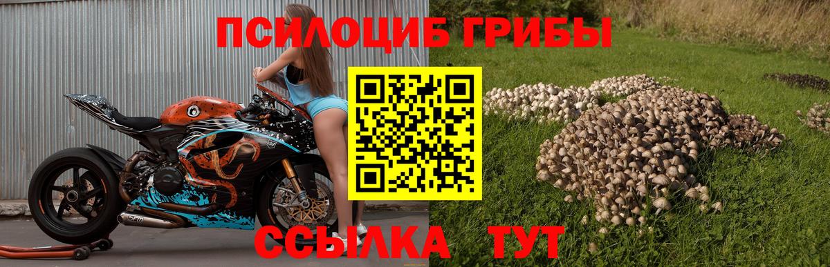 Псилоцибиновые грибы Magic Shrooms  Галлюциногенные грибы Cubensis  Избербаш  Вход с VPN 