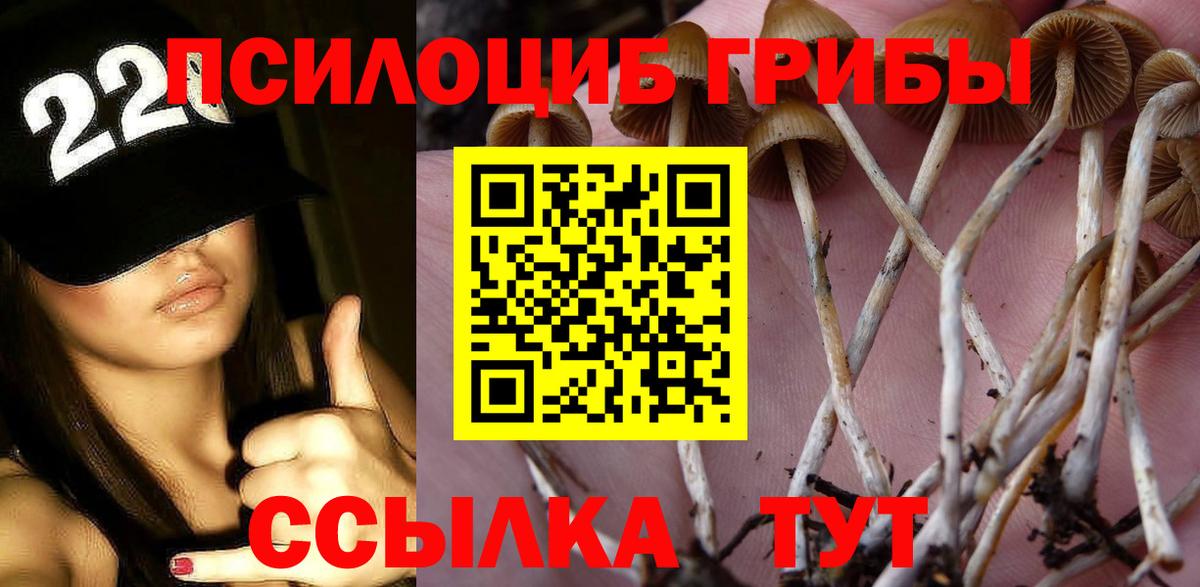 Галлюциногенные грибы GOLDEN TEACHER Избербаш