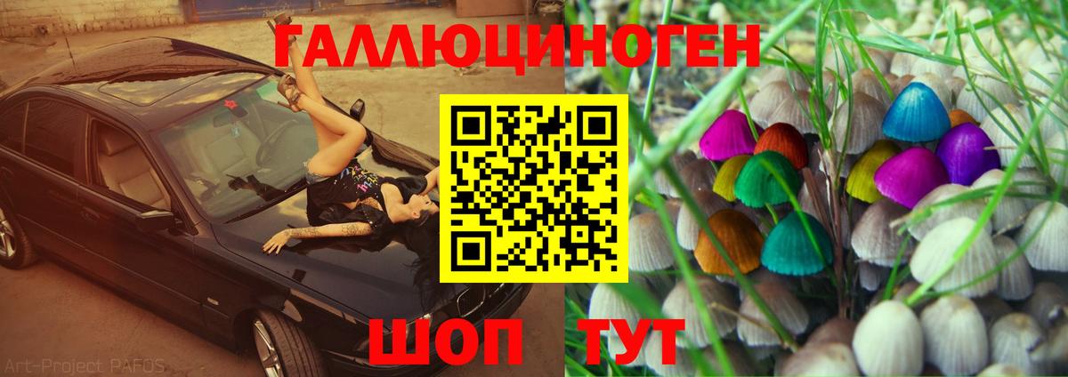 Псилоцибиновые грибы Psilocybe Избербаш