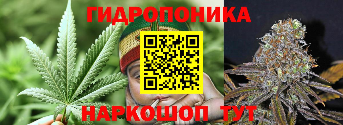 Каннабис White Widow Избербаш